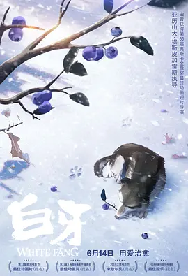 手机免费播放